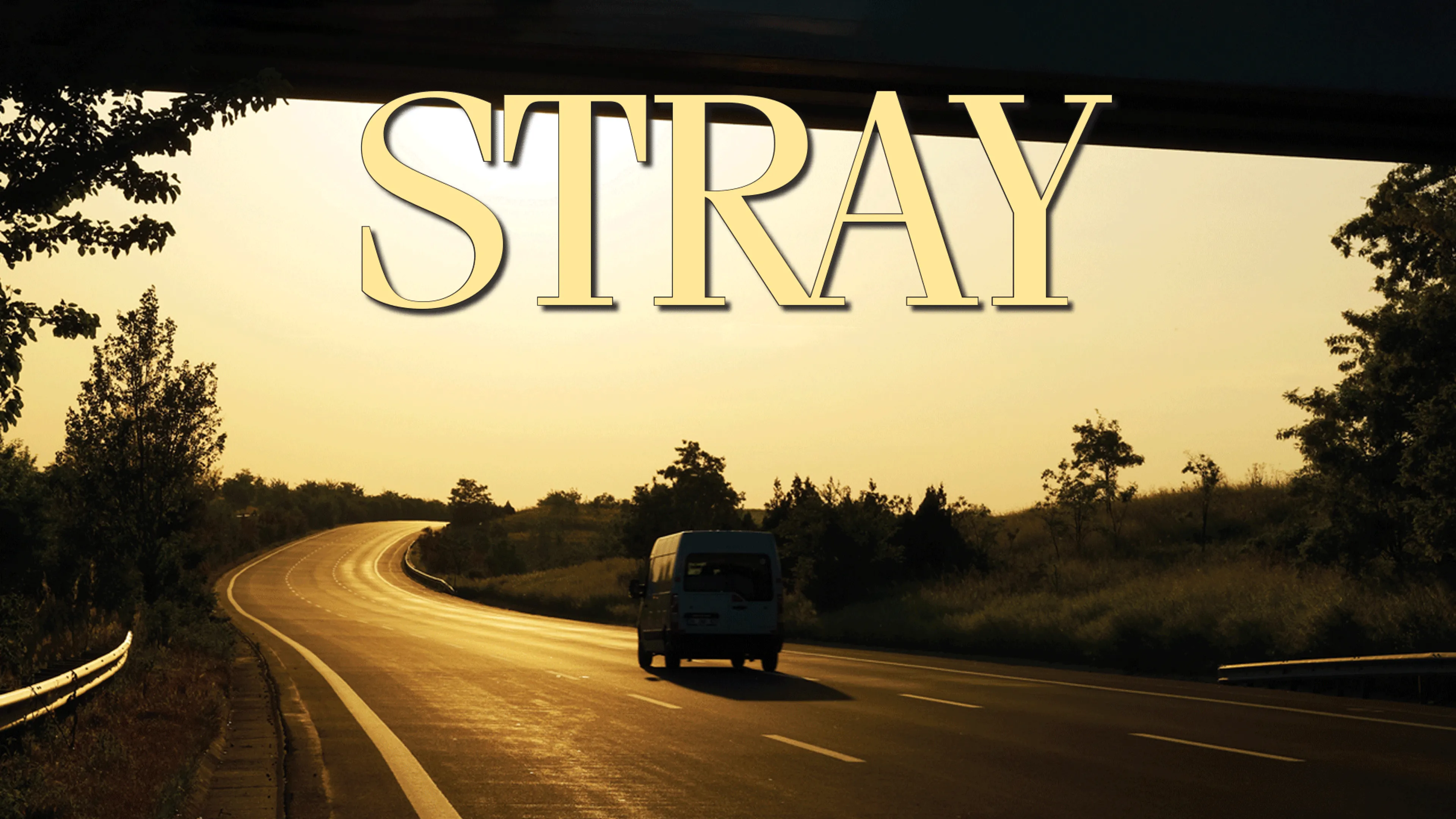 Stray poster